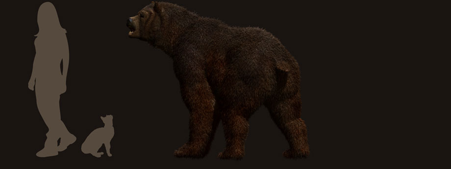 Relative size