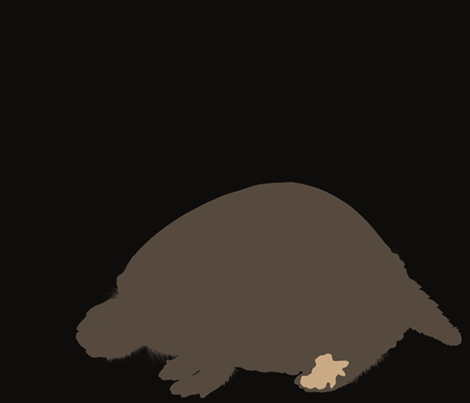 glyptodon-pata