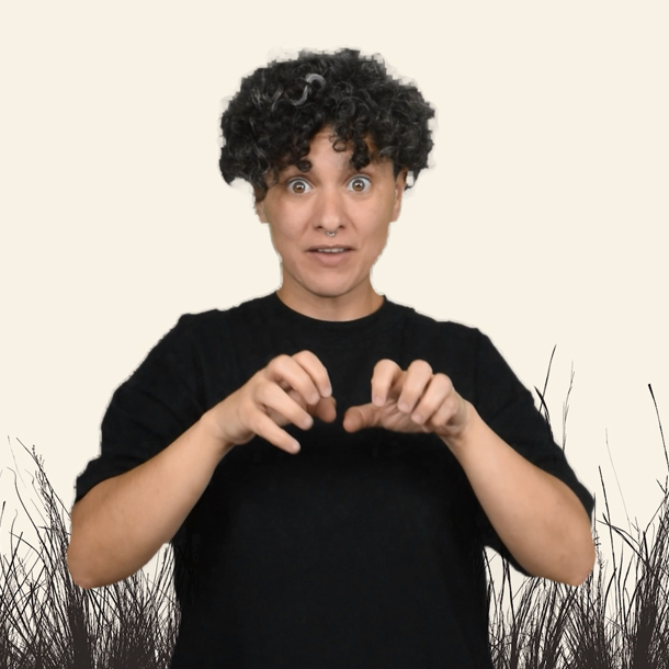 Videos en lengua de señas uruguaya