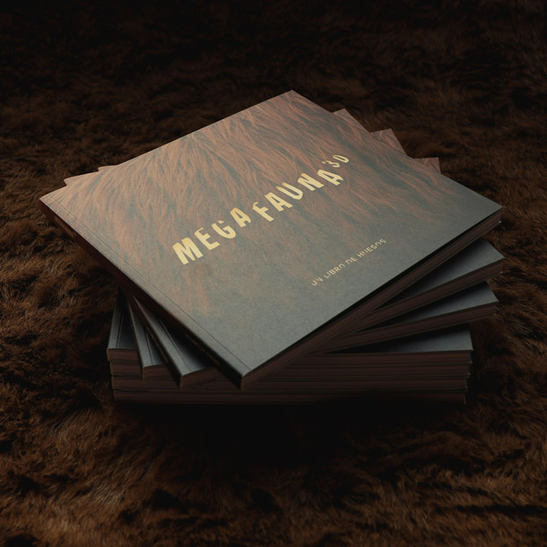 Megafauna 3D, un libro de huesos